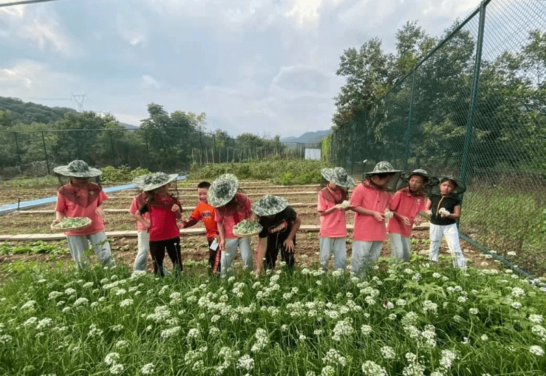 乡村|不靠名师、不拼生源，这所乡村学校让我们看到教育“突围”的可能