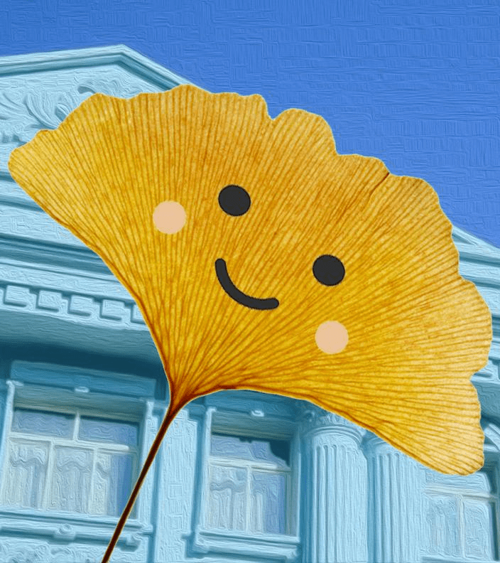 一年一度的信息科大落叶表情包又更新啦