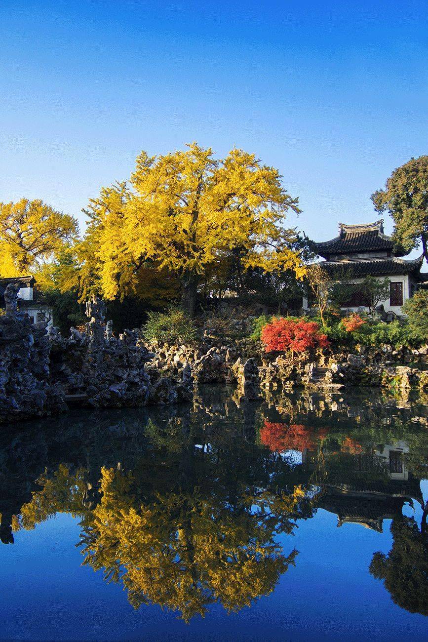 中国人必去的苏州十大最美园林你最喜欢哪一座