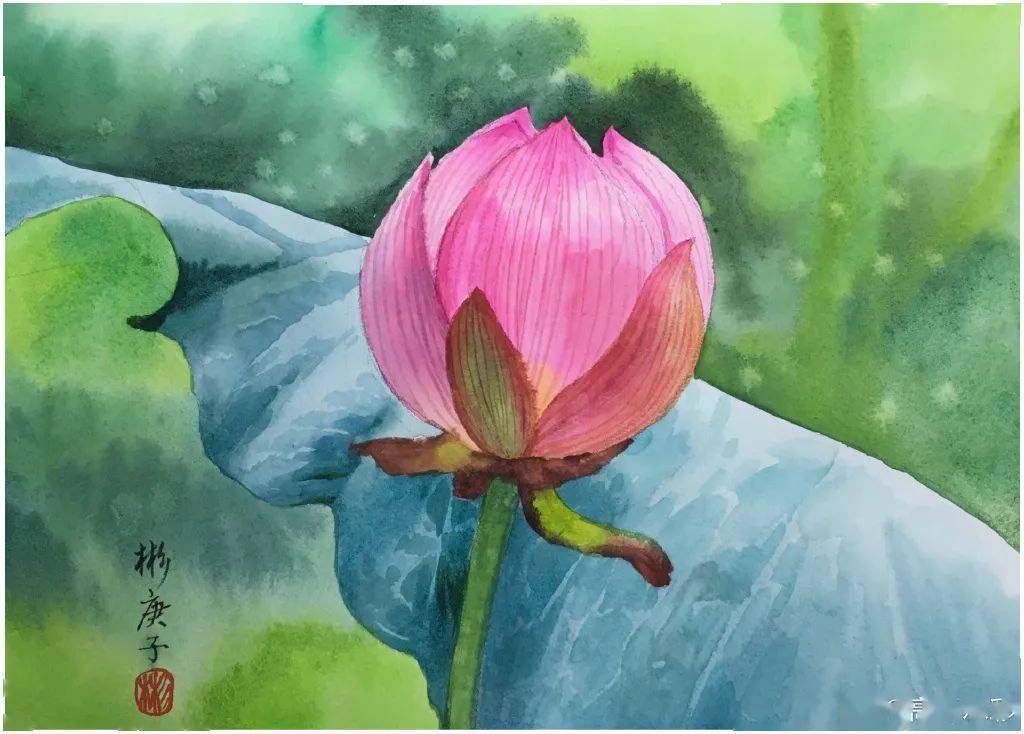 川美毕业的水彩大师笔下缤纷绚丽的花卉极致的风景静物张张惊艳美爆