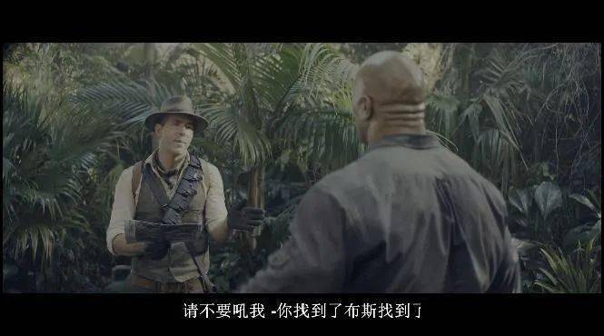 巨石|年度R级爽片!神奇女侠VS死侍和强森