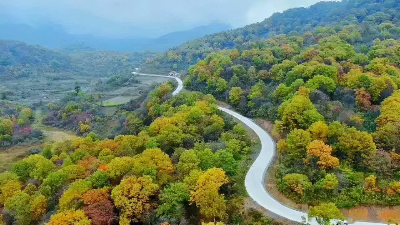 魅力|美景持续霸屏，这个冬季一定要来这一趟！