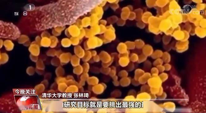 新冠|我国新冠特效药有了“时间表”