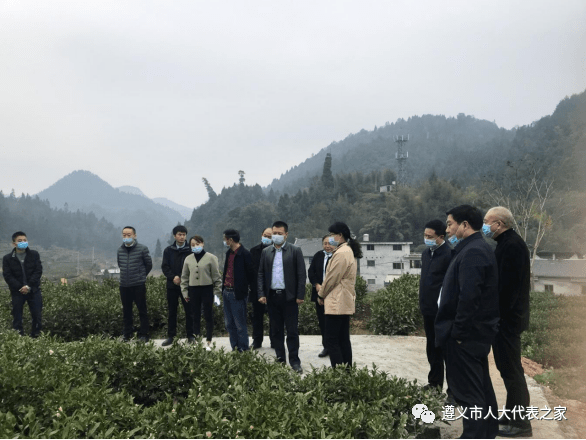 市人大机关党组副书记田景余,市人大农经委主任委员王弋,副主任王仲勇