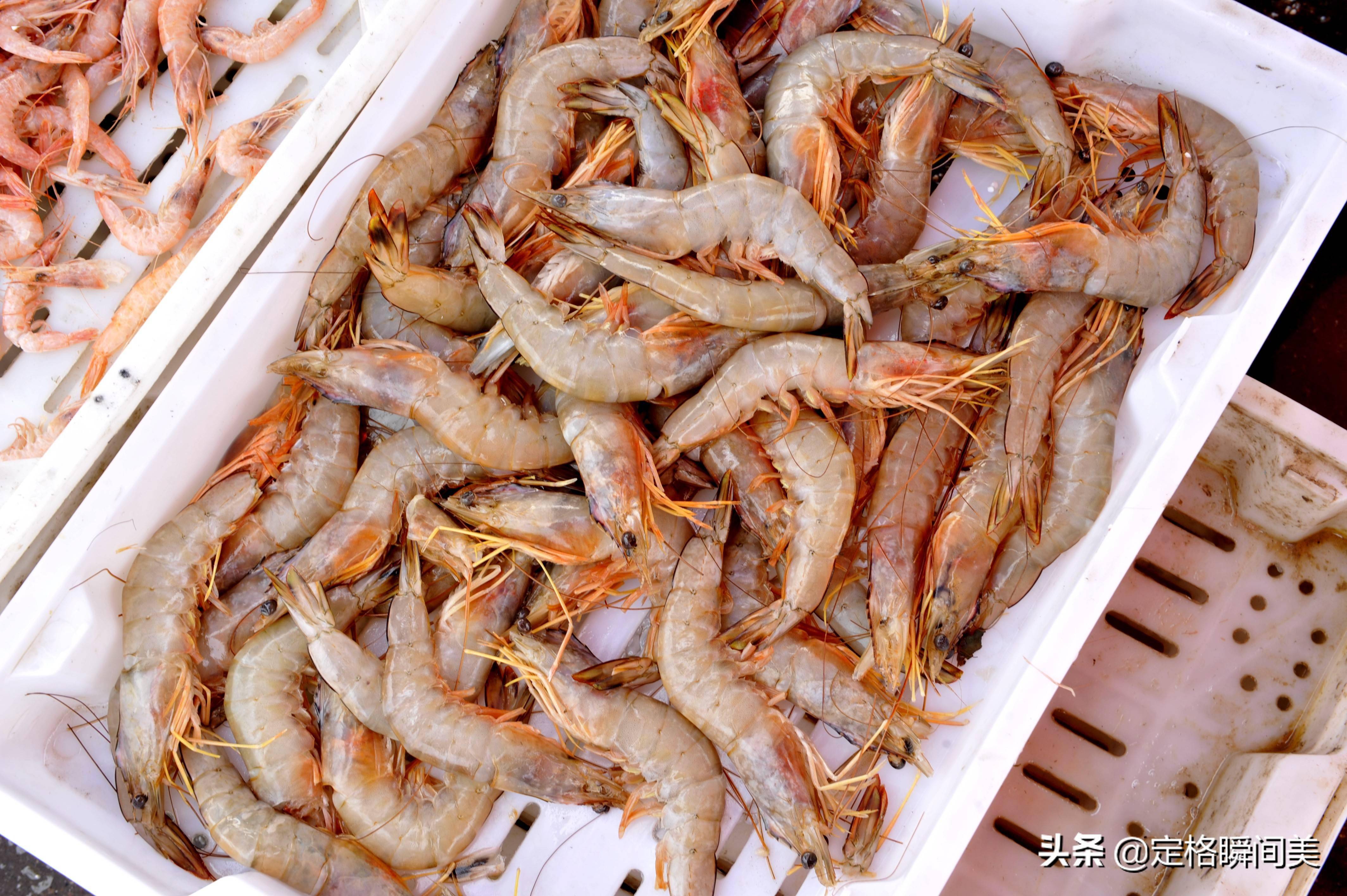 收获的好时节青岛各类海货霸占街头新鲜蛎虾17一斤