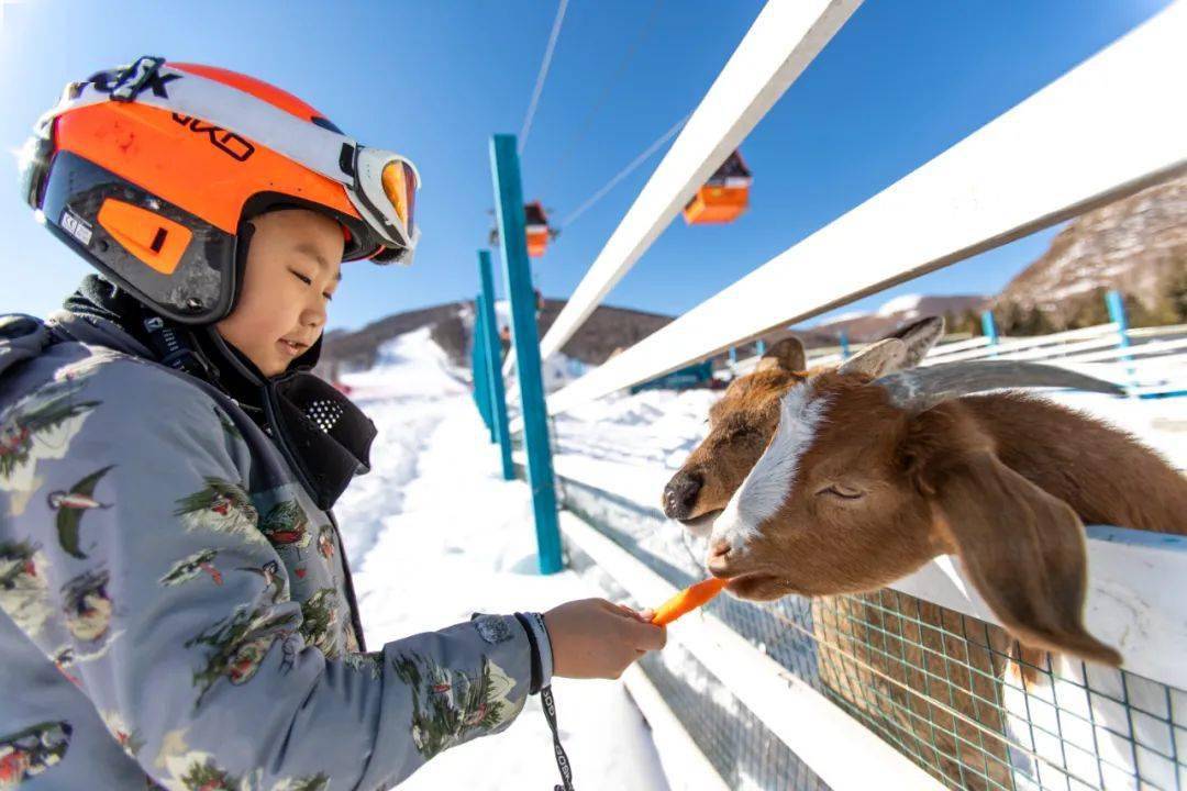 这些地方承包你的精彩雪后生活_乐园