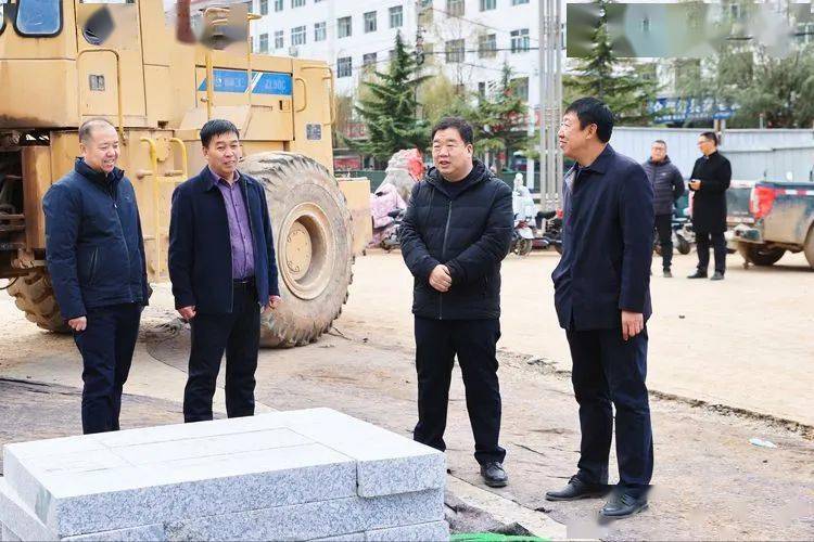 连树斌调研重点项目建设