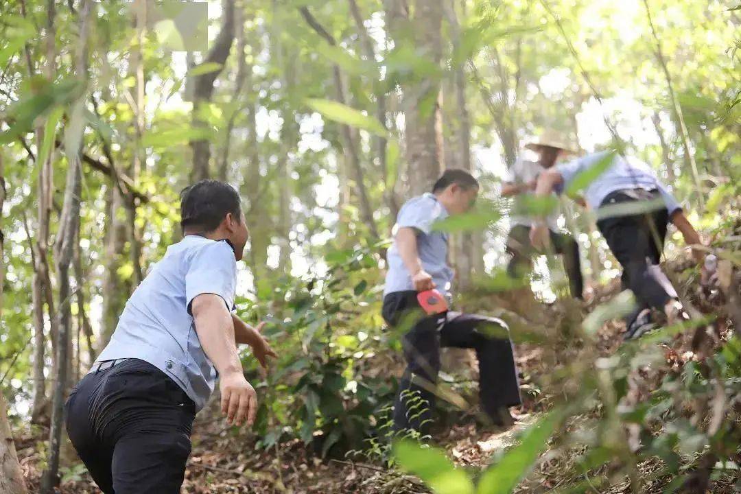 賀州男子多次買賣國家級保護動物一審獲刑2年8個月