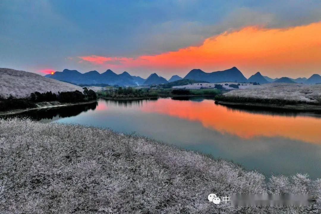 日落集山气日夕佳飞鸟相与还
