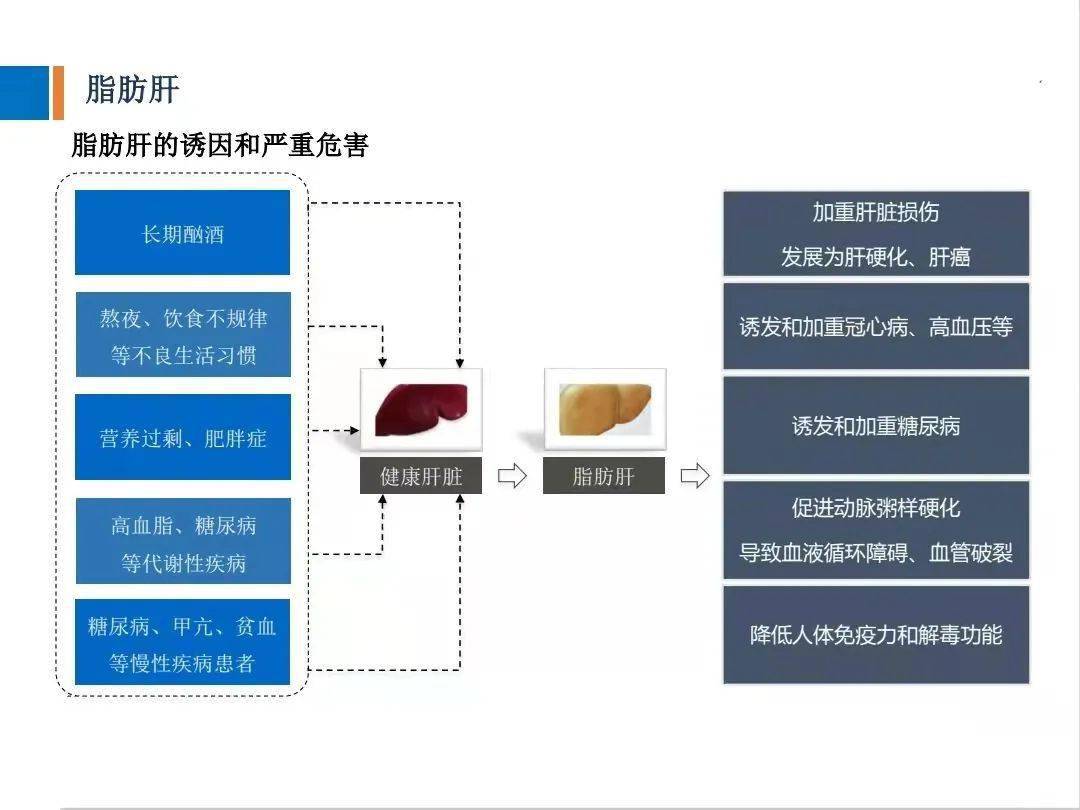 【健康科普】脂肪肝,酒精肝,病毒肝等慢性肝病注意啦
