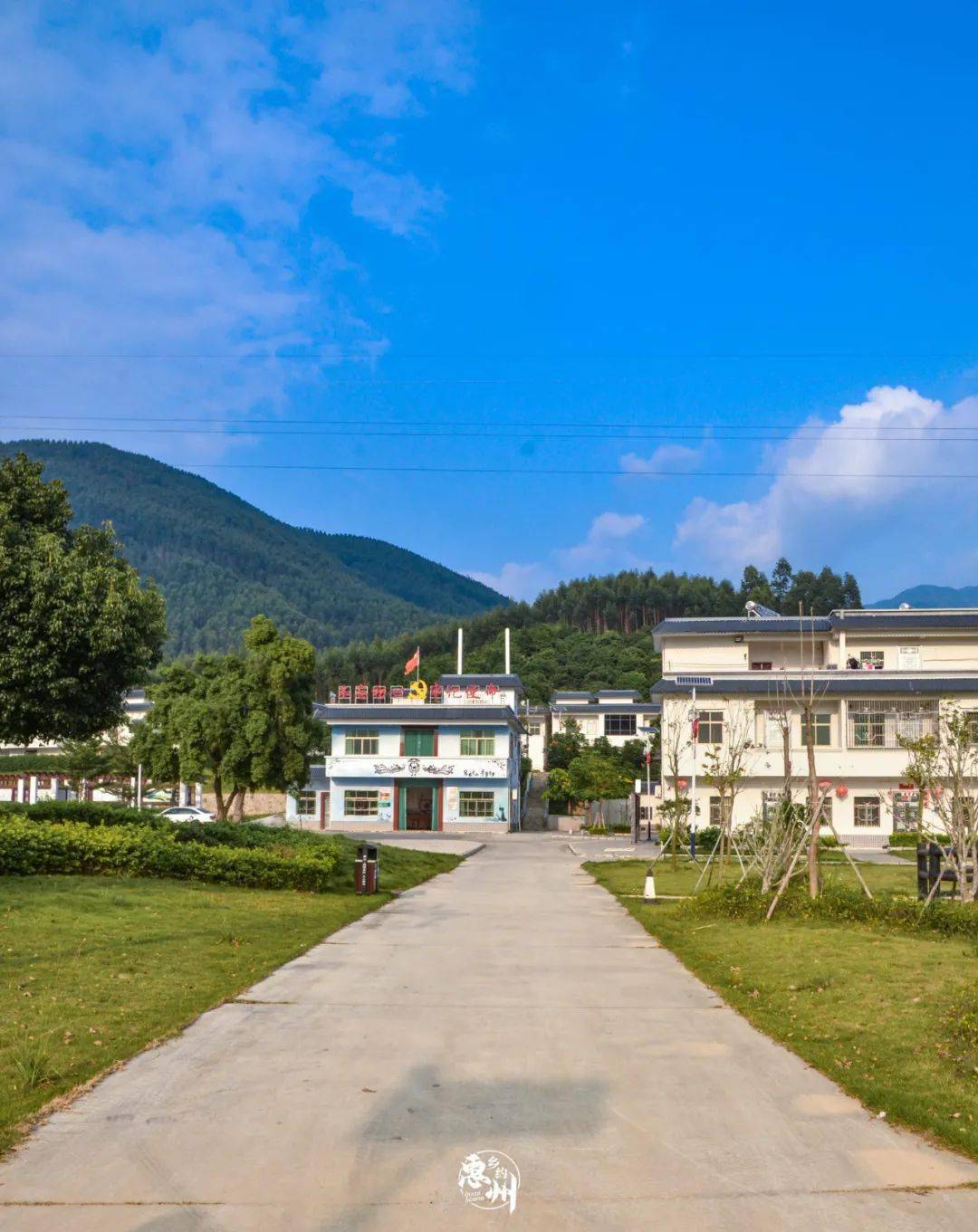 惠东有条村大变样很多人慕名而来