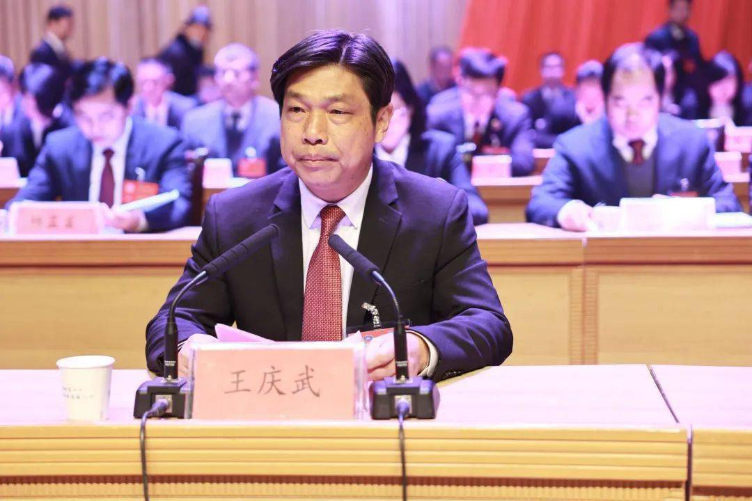 会议由大会执行主席王庆武主持.