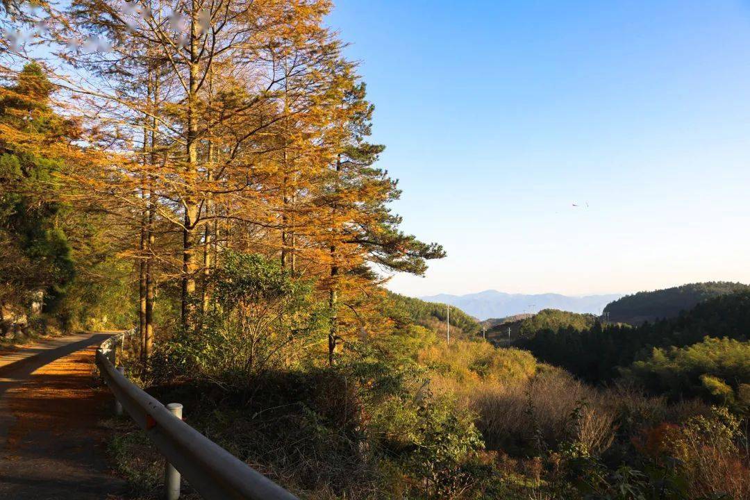 樂玩奉化·福利滿滿丨賞絕美秋景,打卡美食,商量崗滿足你秋遊的願望