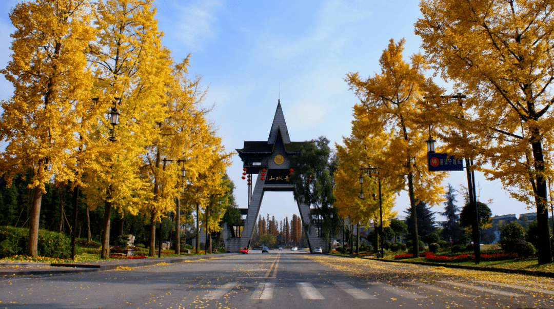 青城山镇:积极投身"五大新城"主战场,奋勇争当科学复兴排头兵_精神