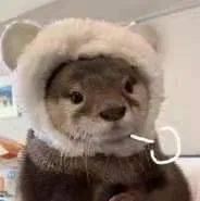 瞬间|【聊天室】生活中那些九死一生的瞬间，真·离当场去世就差那么点！