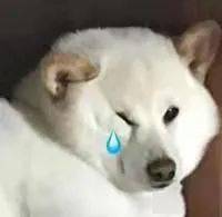 瞬间|【聊天室】生活中那些九死一生的瞬间，真·离当场去世就差那么点！