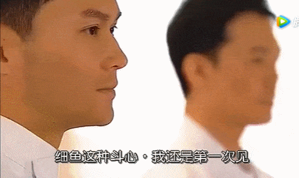 清流|娱乐圈第一清流组合，追定了！