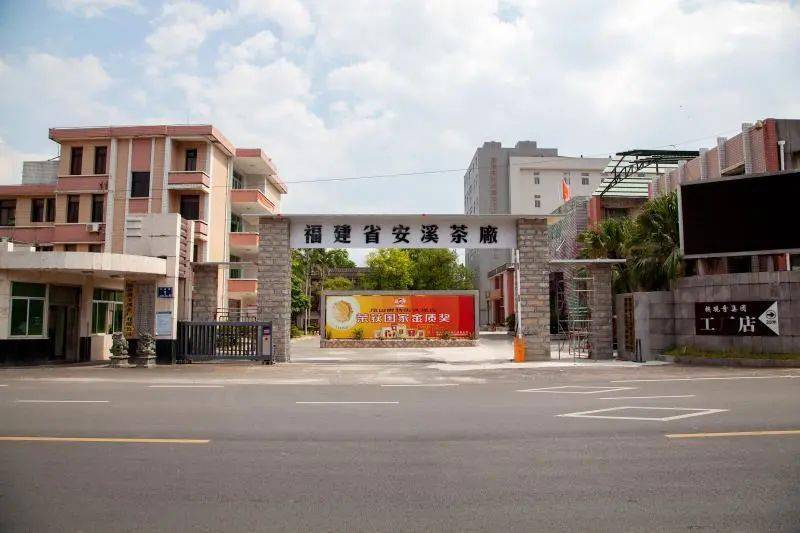 走进安溪茶厂,了解福建安溪铁观音集团的发展历程,了解铁观音早期制作