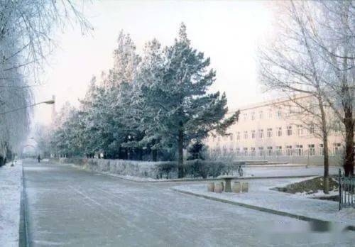 尚志一曼中学,赵一曼烈士的牺牲地"血红旗帜,誓不战胜终不放手.