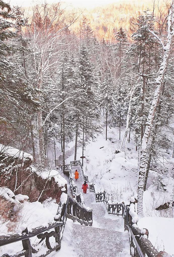 阳光|雪中的汤旺河景区犹如童话世界