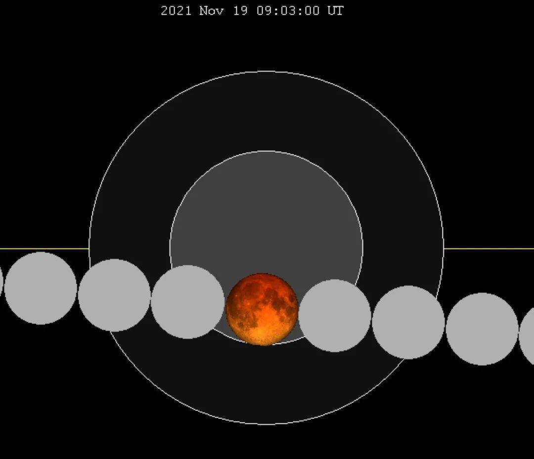 上海天文馆直播 | 今晚“月”一个吗？
