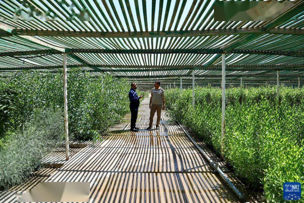 给地球系上“绿”丝带——推进全球环境治理的绿色“一带一路”