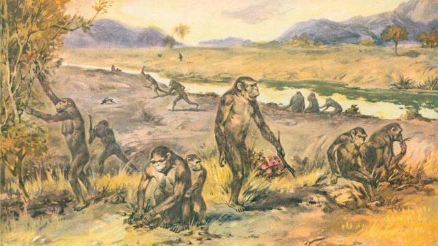 现在我们看到的生物其实都是进化的结果,从最原始的微生物演化成为多