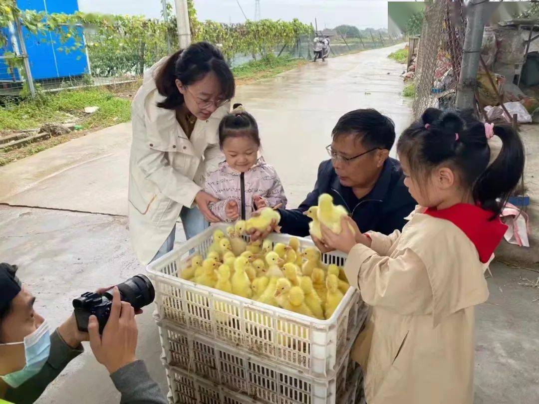 鹅致富路_致富经鹅_穷人如何致富秘诀穷人致富