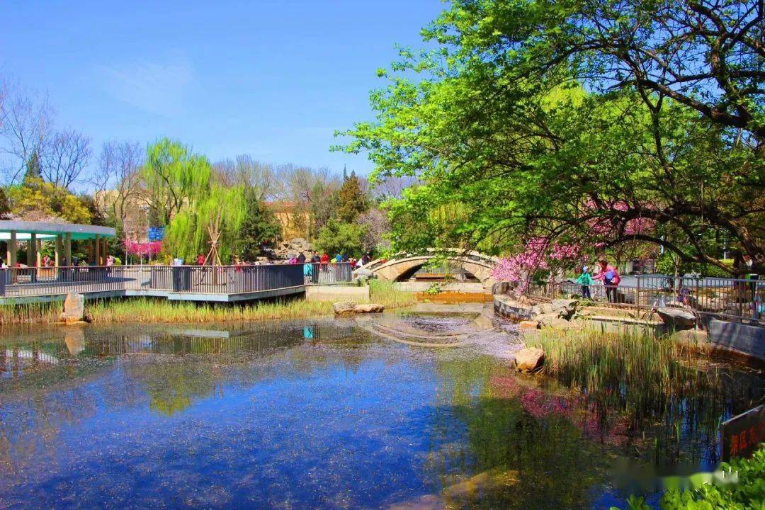 高苓莉你的來稿我們收到啦67石景山雕塑公園的四季美景