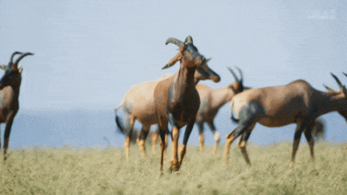 羽毛|豆瓣9.5,相亲节目已经卷成这样了