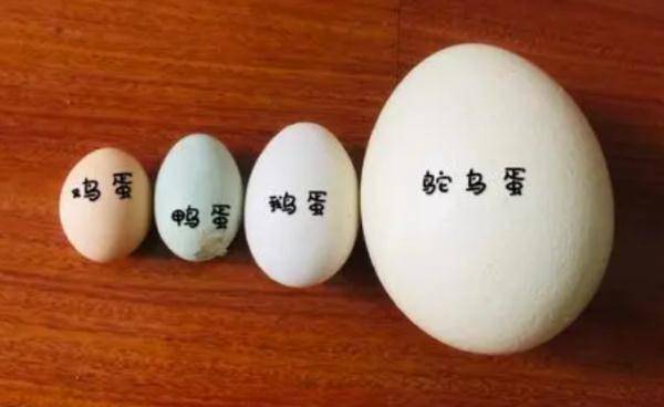 大意|女子頭上長了個“鴕鳥蛋”！@海南人，這情況千萬別大意