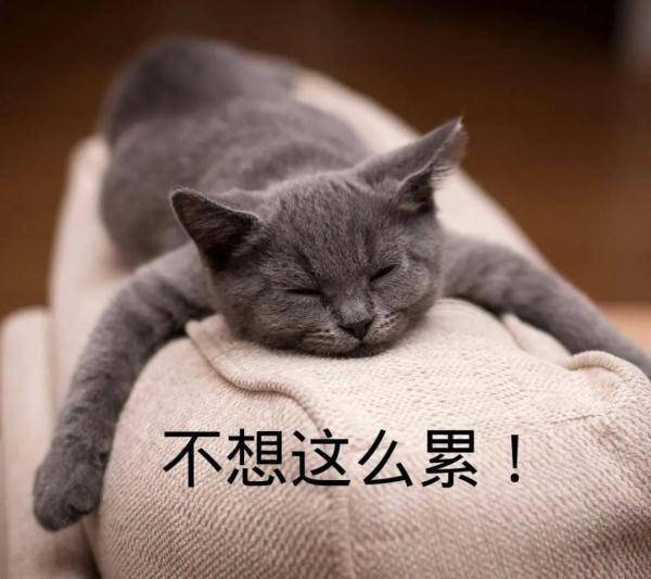 广东|广东一银行给员工发速效救心丸，回应来了