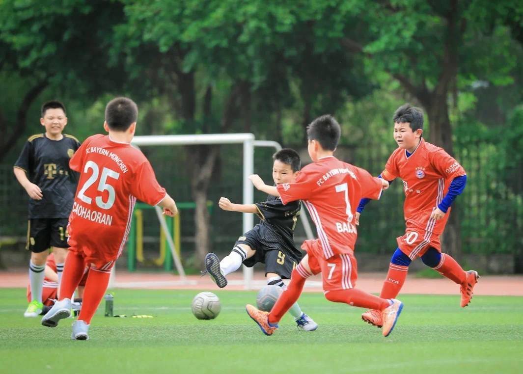 巴蜀|奥运冠军施廷懋为巴蜀小学体育节加油助威