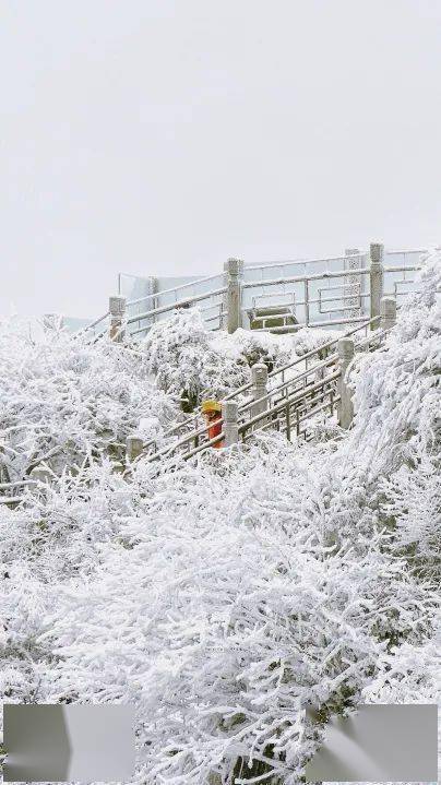 峨眉山地震了吗