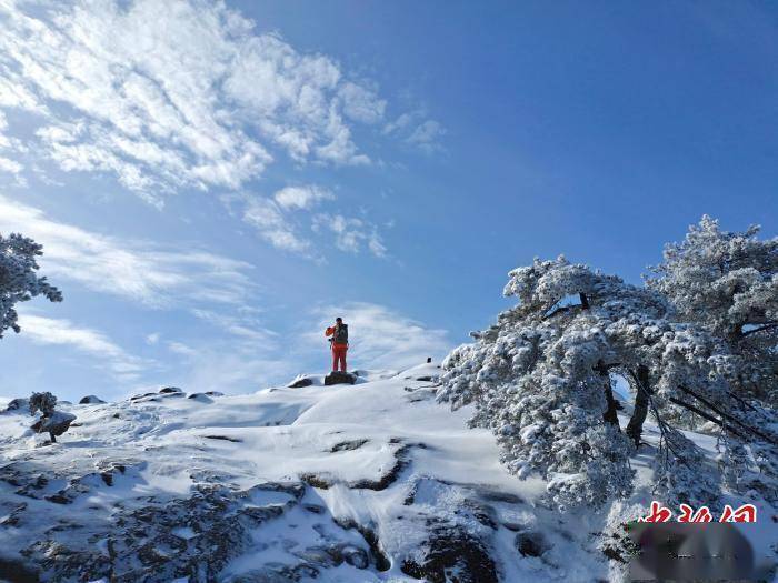 冒雪|黄山风景区迎来今冬首场降雪