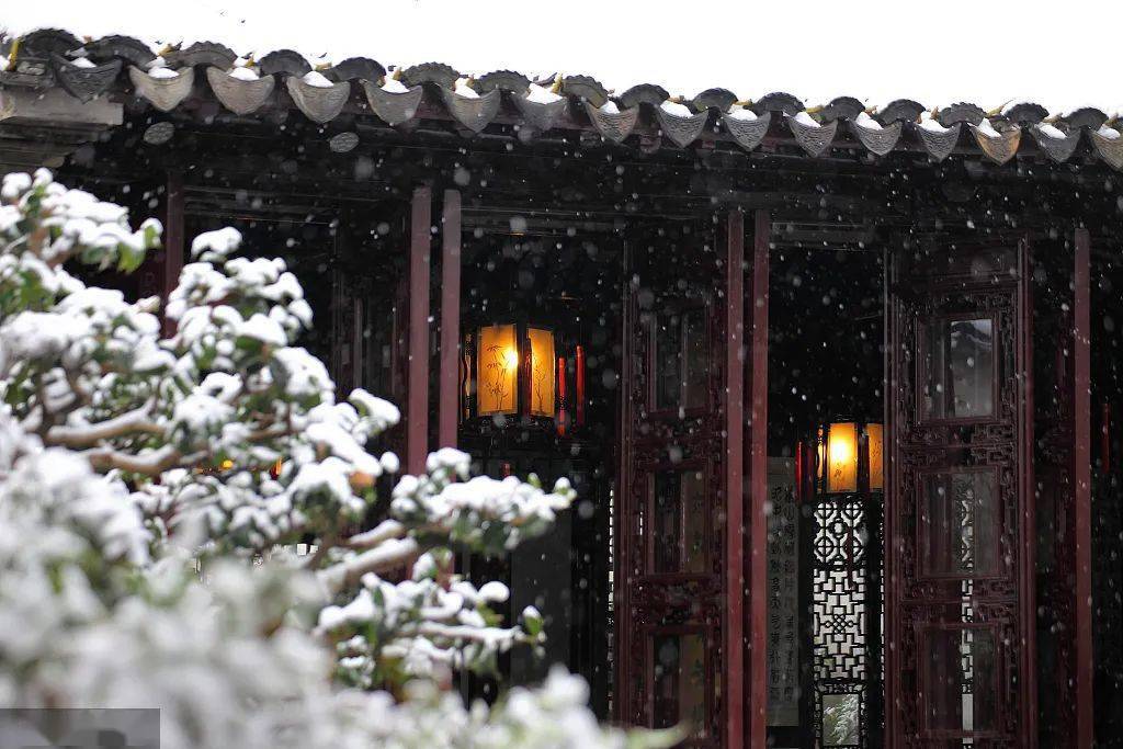 设计|今日小雪！晚来天欲雪，能饮一杯无？