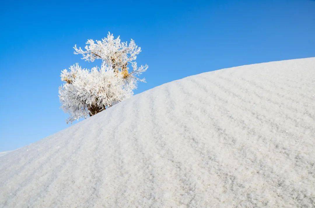 南方|??今?日?小?雪??