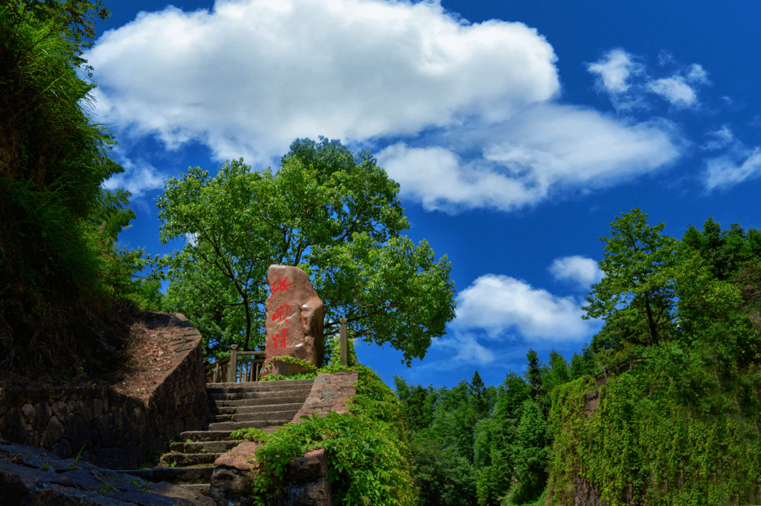 福建新答卷光泽擦亮中国生态食品城金字招牌
