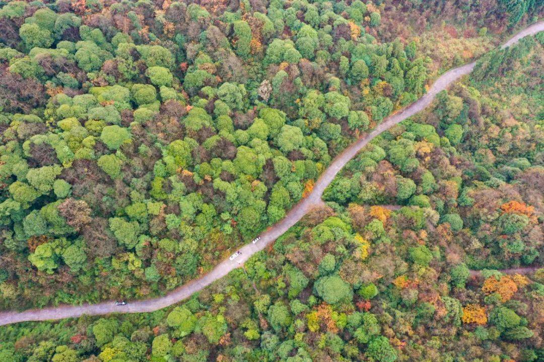 【文旅】绥阳宽阔水的初冬,绝美!