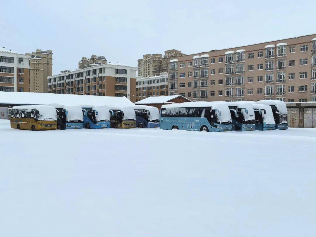 暴雪过后,县内运营交通全部停运_宝清