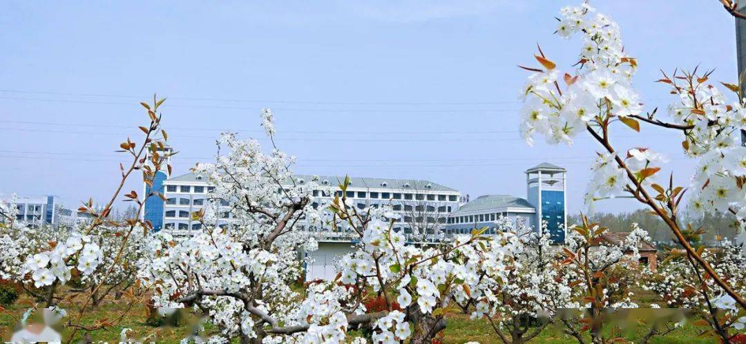 宿州职业技术学院仿佛能感受到二冬精神的熏陶走在这条二冬大道上他是