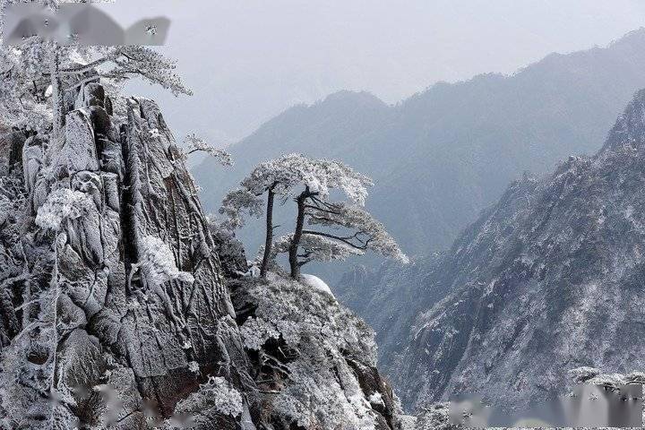 银装|雪后黄山银装素裹