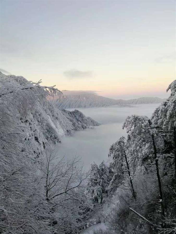 成昱勋|湖北九宫山迎来今冬第一场雪