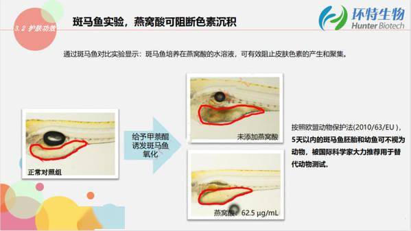 市场环特生物携斑马鱼生物技术亮相InnoCosme2021