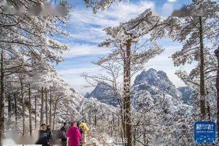 冬日|银装素裹，宛如仙境！雪后的黄山有多美