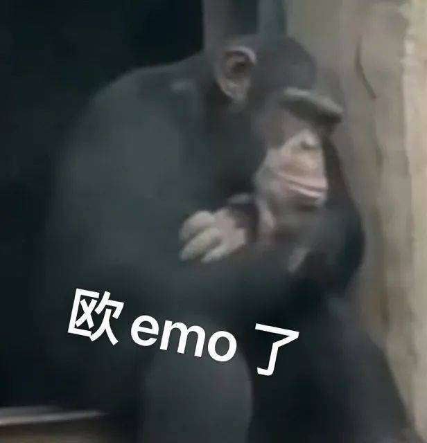 bd2e446b0637405f935b7a00944b1075.jpeg