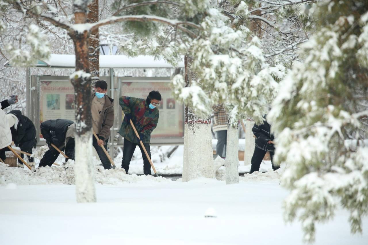 华德|【雪落象牙塔】哈尔滨华德学院：银装素裹 诗意满园