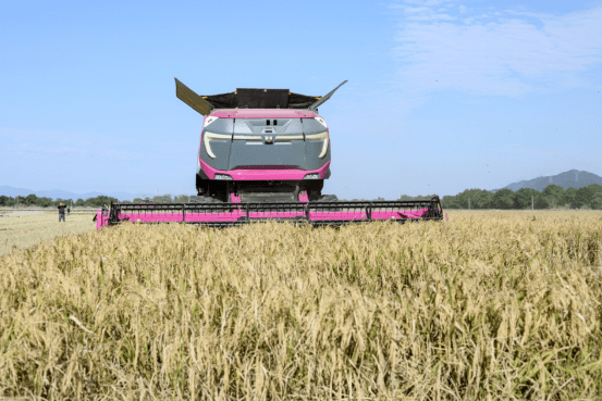 稻花香里说丰年，智慧农业新路径