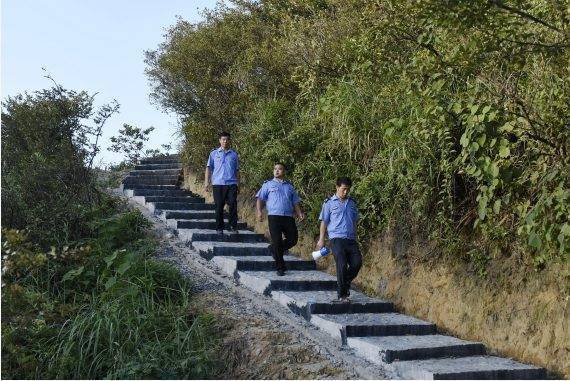 蓝山县|熄灯、静山，一座县城与候鸟的“相处之道”