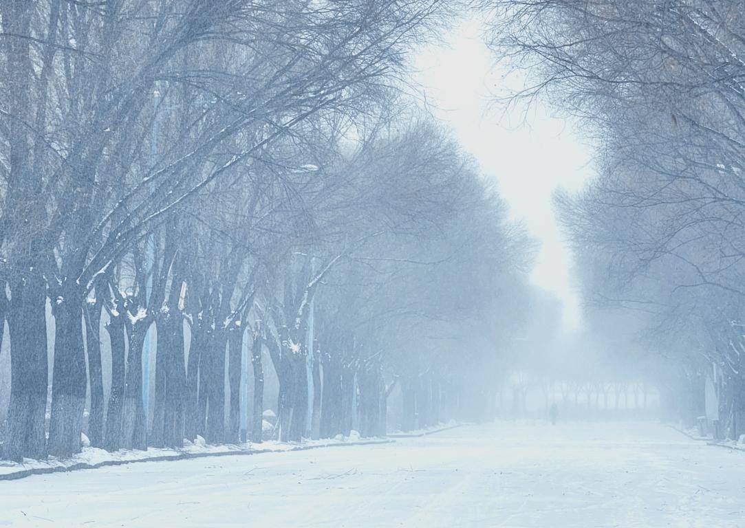 冬日|【雪落象牙塔】哈师大：冰天雪地换新颜